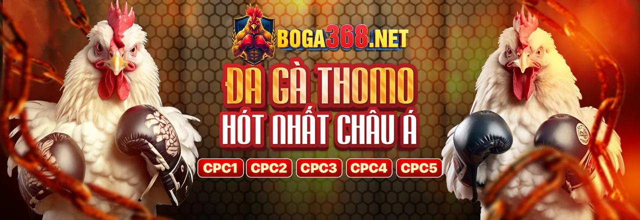 Hình ảnh giới thiệu KU88 Khuyến Mãi